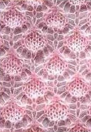Web lace