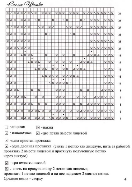 Tulip Chart